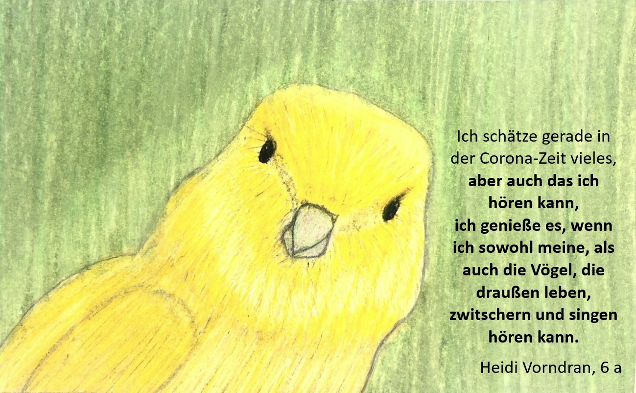 heidi vogel 6 a